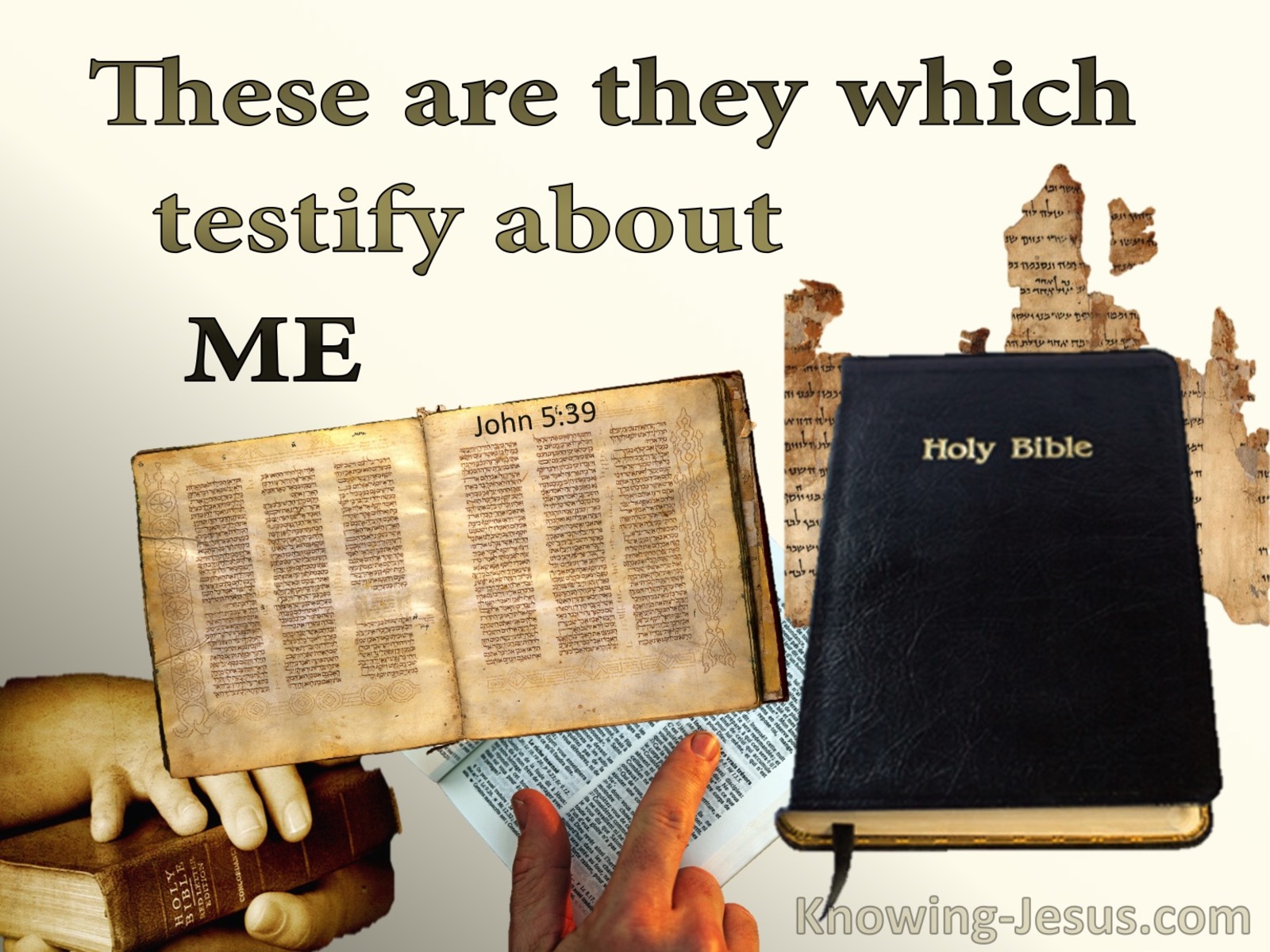 John 5:39 These Are They Which Testify About Me (sage)